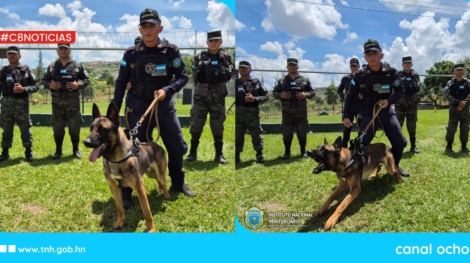 keiry - 2025-10-01T202200.227