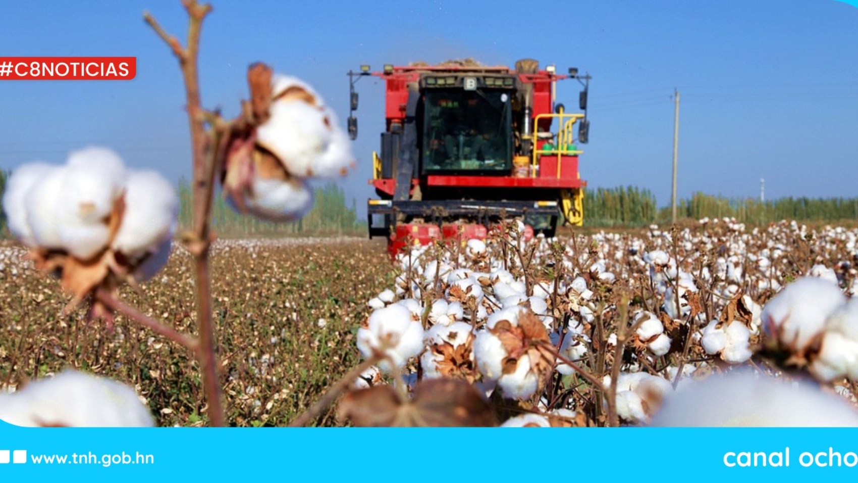 keiry - 2025-10-14T163936.678