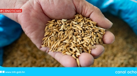 keiry - 2025-10-16T141653.186