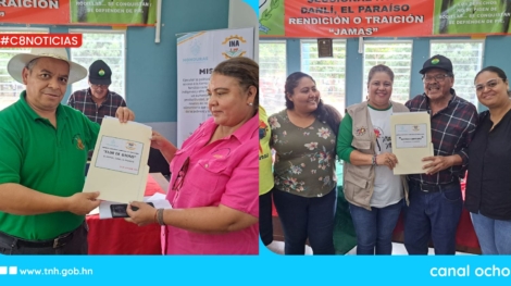 personalidades jurídicas