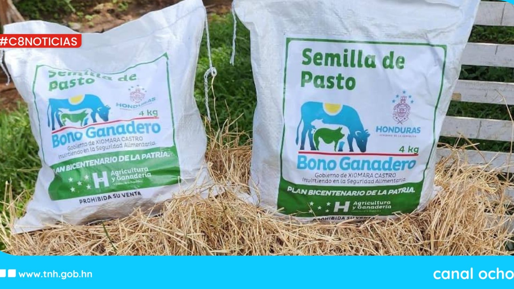 productores ganaderos